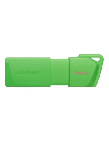 PEN DRIVE 128GB KINGSTON GREEN...